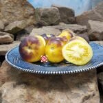 Fuzzy Blue Balls Tomato Seeds.