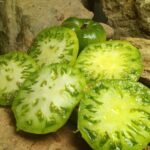 GRUB'S MYSTERY GREEN BEST GREEN TOMATOES