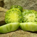 Grub's Mystery Green Tomato