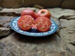 General Lee Tomato Seeds