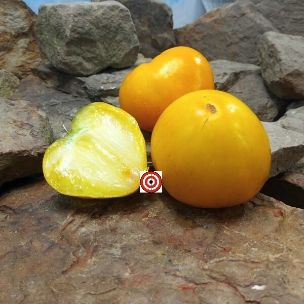 Golden King Of Siberia Tomato