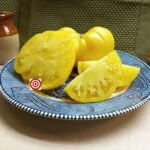 Golden Monarch Heirloom Tomato