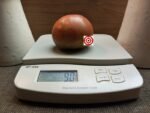 Huge Black Beefsteak Tomato