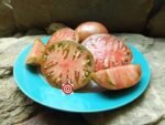 Huge Black Heirloom Tomato
