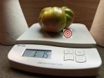 Jamaican Gold Tomato One Pound Plus Tomato