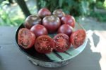 KISS THE SKY TOMATOES