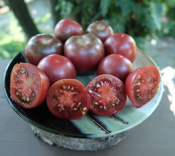 KISS THE SKY TOMATOES