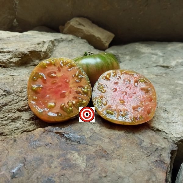 Kazachka Beefsteak Version Tomato