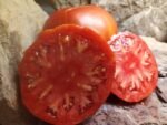 MADAJAR BEEFSTEAK TOMATOES