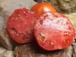 MADAJAR RED TOMATOES