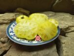 Moliagul Moon Dwarf Tomato Seeds
