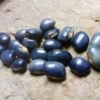 Nonna (Grandmother) Agnes Blue Bean