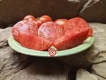 Red Tomato Dwarf Hannah's Prize Tomato
