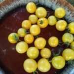 SNOW WHITE CHERRY TOMATO BY JOE BRATKA