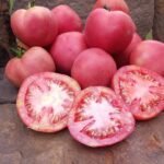 THE FUZZ DWARF TOMATOES BY DEAN SLATER TOP 10