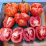 UNIQUE STRIPED CAVERN TOMATO