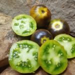 WAGNER BLUE GREEN FAVORITE GREEN TOMATOES