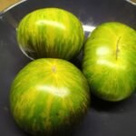 XANADU GREEN GODDESS BEST GREEN TOMATOES