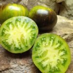 XANADU GREEN GODDESS FAVORITE GREEN TOMATOES