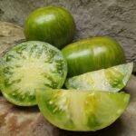 XANADU GREEN GODDESS TOMATO BY BLANE HORTON