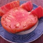 Australian Beauty The Best Rare Organic Heirloom Canning Oxheart Tomato