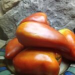 The Best Canning Tomato