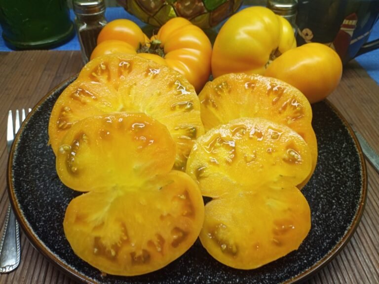 5 Great Low Acidic Tomatoes From 2021 By Bounty Hunter Seeds!