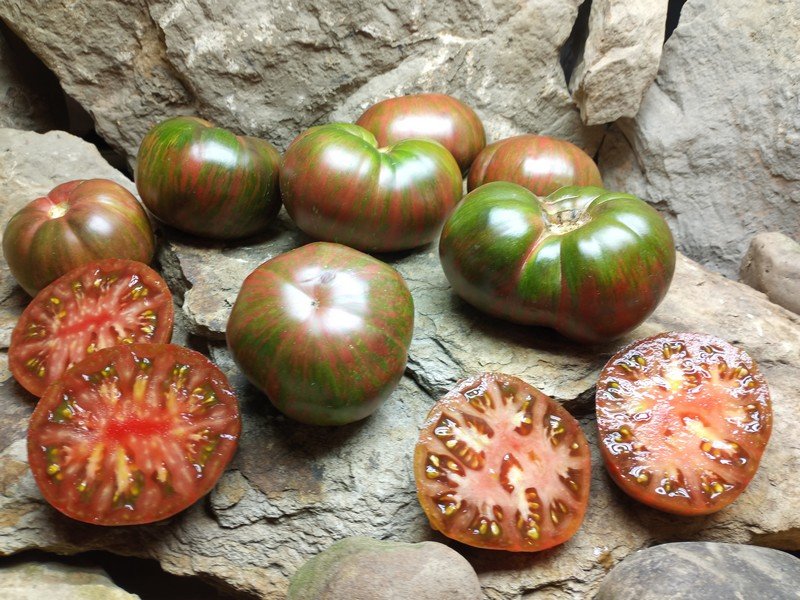 About The Breeders Of Tomatoes We Have By Bounty Hunter Seeds!