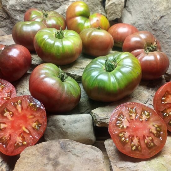 Best Organic Black Heirloom Tomato Lavender Lake Tomato Seeds Available