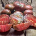 Spudatula Black Tomato A Rare Heirloom Sauce Tomato Seeds Available Here