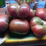 Spudatula Black Tomato The Best Heirloom Sauce Tomato Seeds Available Here
