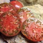 Best Early Black Prolific Tomato Black Early Tomato Seeds Available Here.