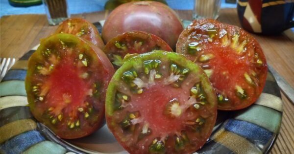 Dean Slater Tomato Vera Black Tomato Seeds Available Here.
