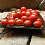 Borgo Celano Tomato