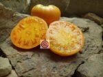 Persimmon Tomato