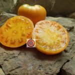 Persimmon Tomato