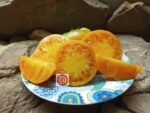 Persimmon Tomato Grown
