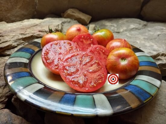 Dragon's Eye Tomato