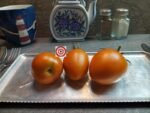 Tomato Butterscotch Paste Tomato