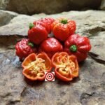 7 Pot Brain Strain Pepper