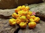 7 Pot Yellow Pepper