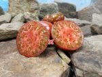 Abraham Brown Tomato Large Black Tomato Seeds