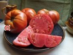 Acme De Giorgi Tomato