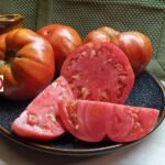 Acme De Giorgi Tomato