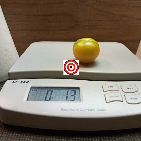 Amethyst Cream Cherry XL Tomato