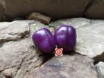 Amethyst Pepper