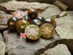 Antho Tomato Blue Chocolate Tomato