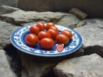 Australian Plum Tomato - Image 6