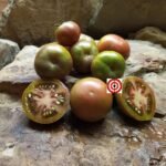 Basin Mountain Tommy Toe Tomato