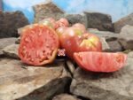 Bear Claw Tomato Seeds